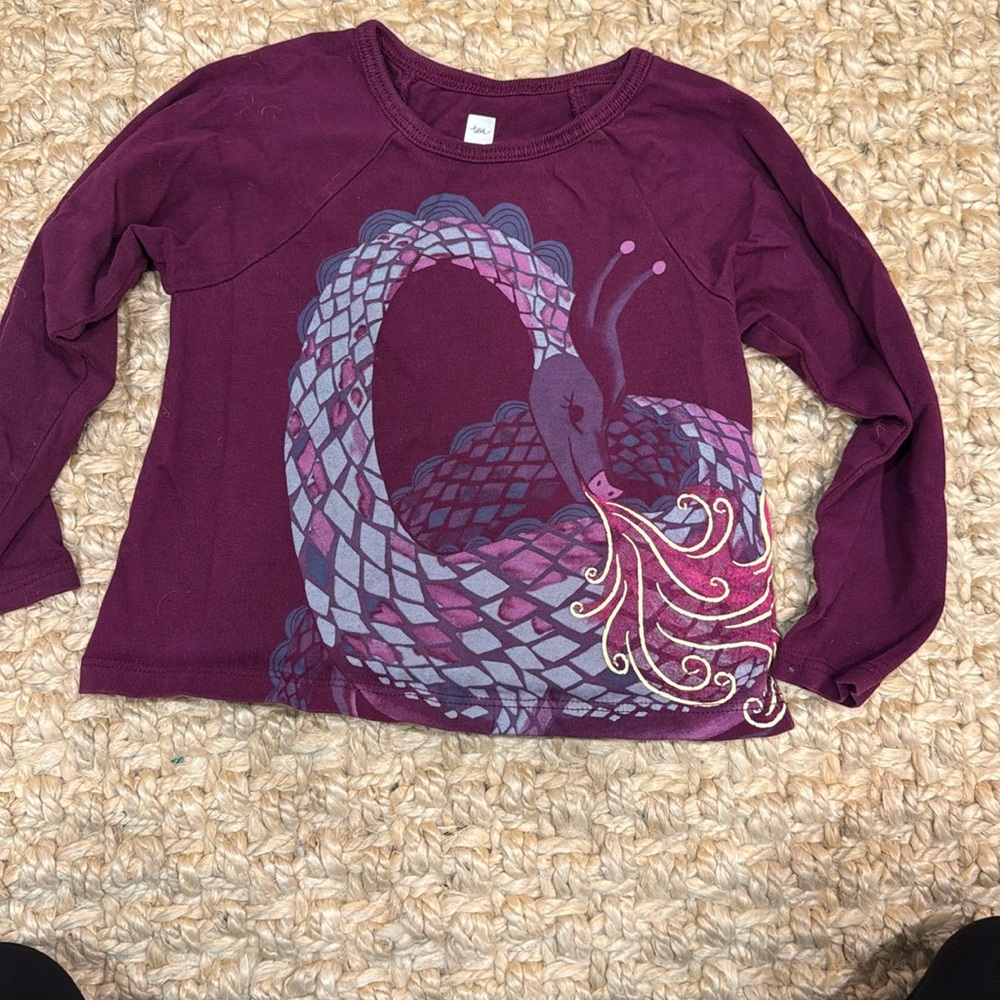 tea collection dragon shirt size 2